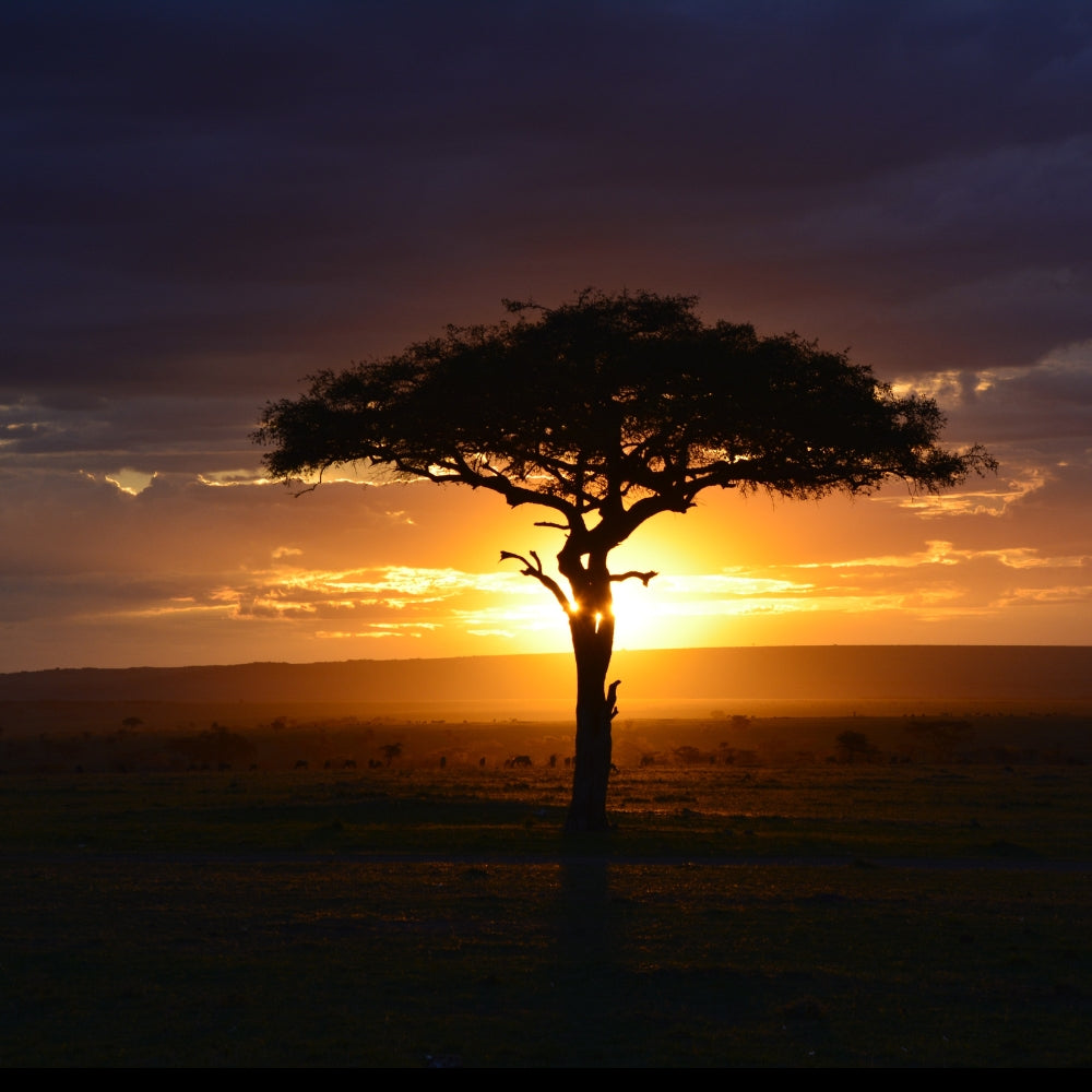 Central African Republic